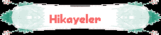 Hikayeler Anasayfa